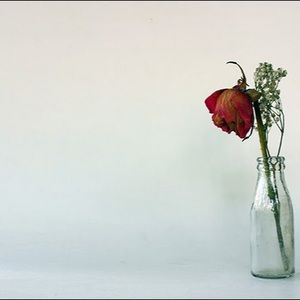 Meet your Posher, Farida